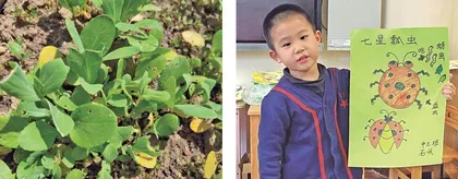 幼儿探究活动中的教师支持策略