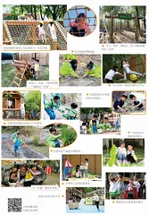 游戏润童年 快乐伴成长
