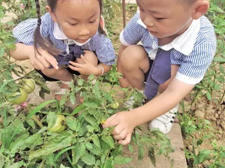 幼儿园种植课程的实践与探索