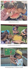 与孩子一起享受种植的乐趣