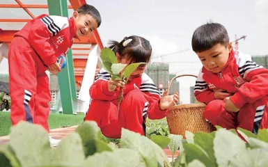 立体阳光评价：激发中小学生成长动能