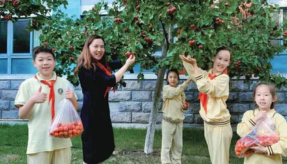 探索跨学科主题学习创新样态