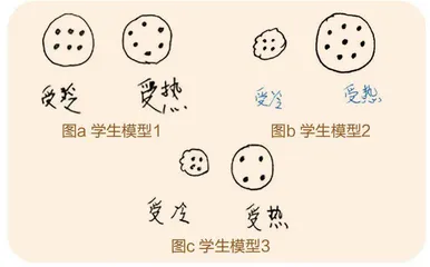 基于真实任务的科学建模教学策略研究