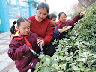 基于项目化学习，构建劳动教育新样态