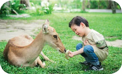 摆脱内卷，大力增进幼儿园教师职业幸福感