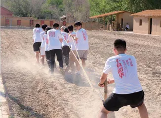汇聚“大思政课”实践育人合力