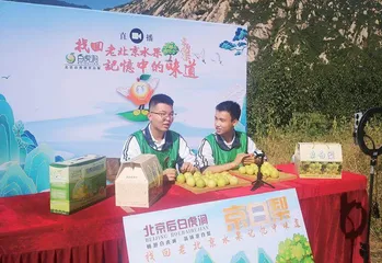 中职院校产教融合，助推农村电商人才培养