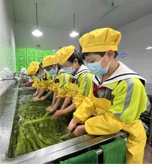浙江经验：资源众筹助力劳动课程高质量实施