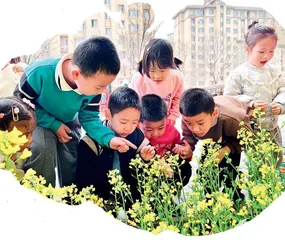 润泽生命智慧，体验诗意成长
