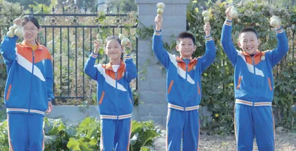 以明引领，向美而行
