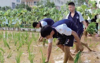 五育并举助推学生健康阳光成长