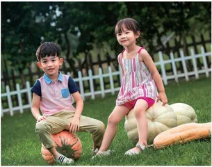 为幼儿劳动提供有效支持