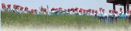 坚持“五育”并举，促进学生全面成长成才