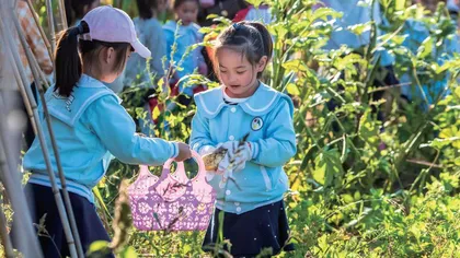 “五色劳动教育”，以劳育人助成长