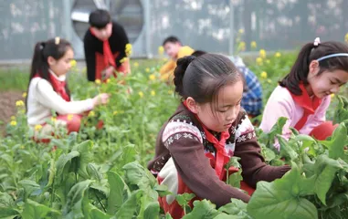 新成长教育：基于场域的育人方式变革