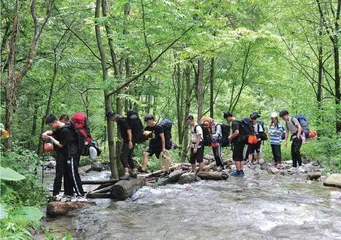生存与攀登：在山麓向山峰进发 