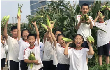 “雅正农场”，丰富学生的智慧与情感