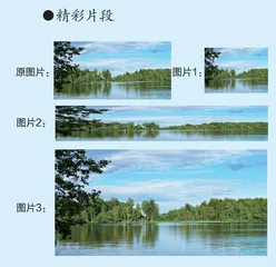 问题引领，促进儿童自主成长