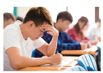 大脑的“聚光灯”：探秘专注与创新的内在机制 