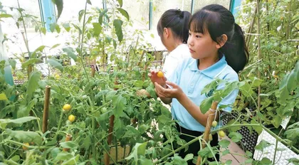 劳动教育成就幸福未来