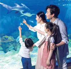 构建以学习者为中心的学习生态