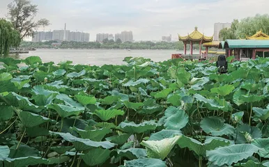 用未来的眼光，办好今天的教育