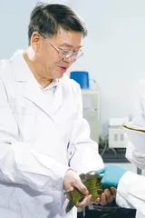 桂建芳：育种四十年 追寻一条“完美鱼” 