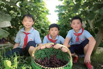探索“三轨交互”劳动教育模式