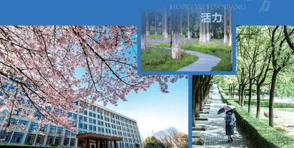 专业牵引，地方高校的活力与远方