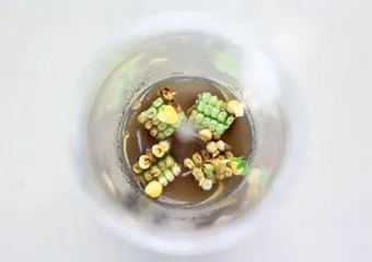 生物制造将成为新增长引擎1