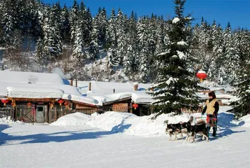 打卡雪乡:浓浓年味迎新年4