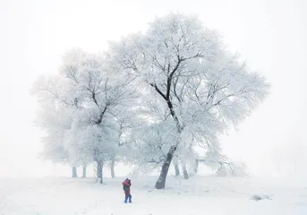 打卡雪乡:浓浓年味迎新年8