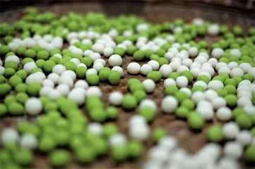 故乡的年味2