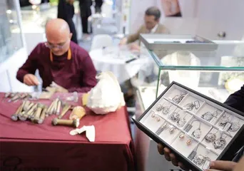 新科技、新潮流、新趋势消博会里看消费未来7