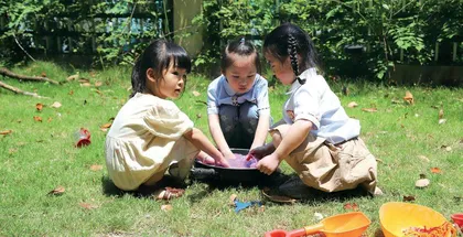 探索幼儿园集体活动转型之路