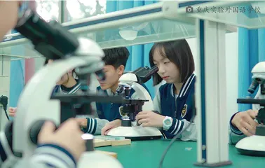 实践育人的基础与形态