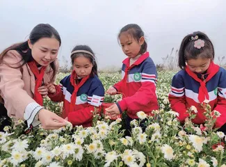 唱响“赏识”教育，谱就“和美”人生许建 