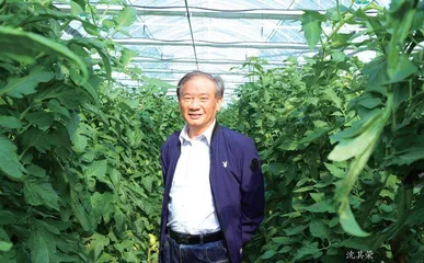 我们的未来，在于品质