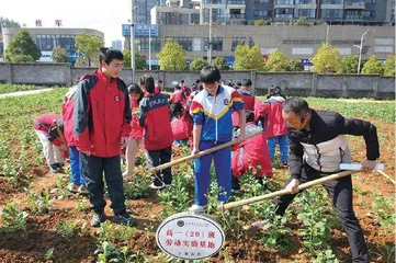普通高中劳动教育评价改革的困境与突破