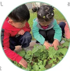 爱上胡萝卜
