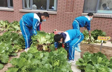 打造多彩课程，为课后服务提质增色