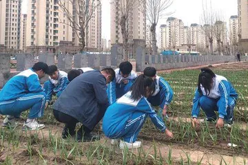 课后服务扬传统  五育并举树栋梁