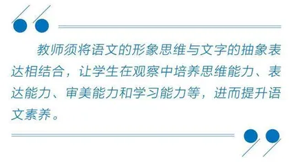 培养观察力，提升学生语文素养