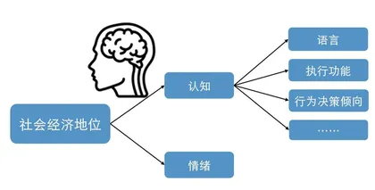 社会经济地位影响个体的认知与情绪