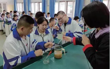打破边界，助力师生自由成长 