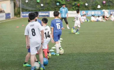 体教融合视角下，体育教师的整合与培养 