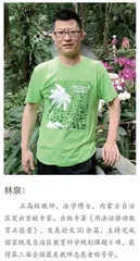 用法治之光，指引学生成长的路