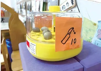 亲自然活动的探究与实践
