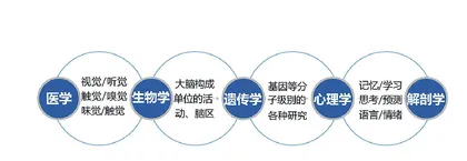 脑科学从实验室走向课堂的探索与实证
