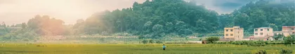 “后撤点并校时代”的寄宿之痛 